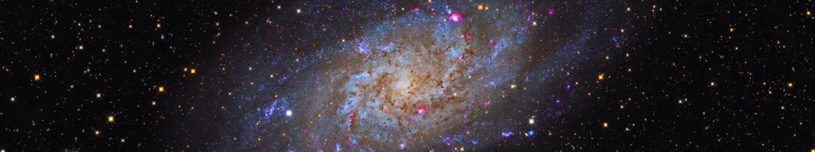 M33